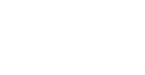 The Flying Pickle